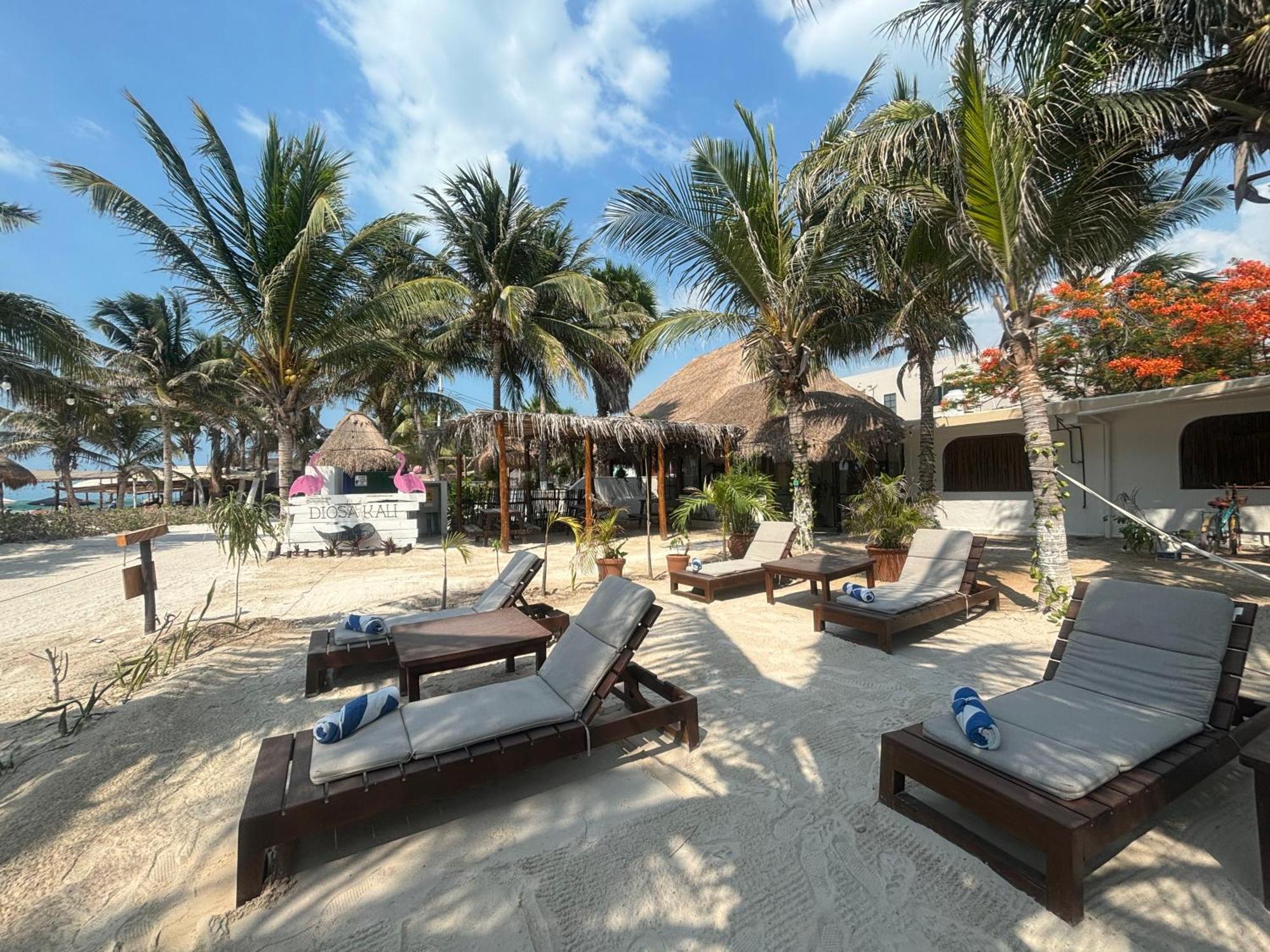 La Diosa Kali Beach Front Hotel Isla Holbox Exterior foto
