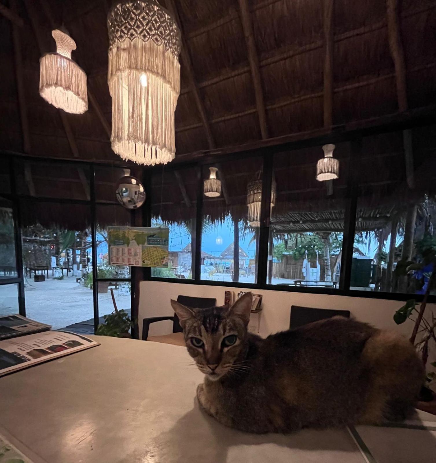 La Diosa Kali Beach Front Hotel Isla Holbox Exterior foto